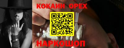 крисы Кингисепп