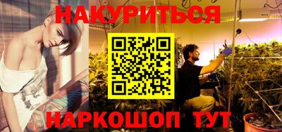 крисы Кингисепп