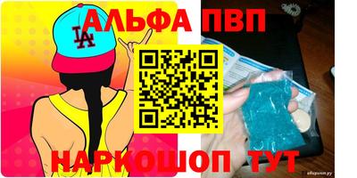 крисы Кингисепп