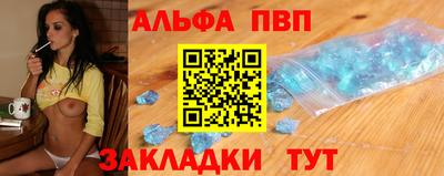 крисы Кингисепп