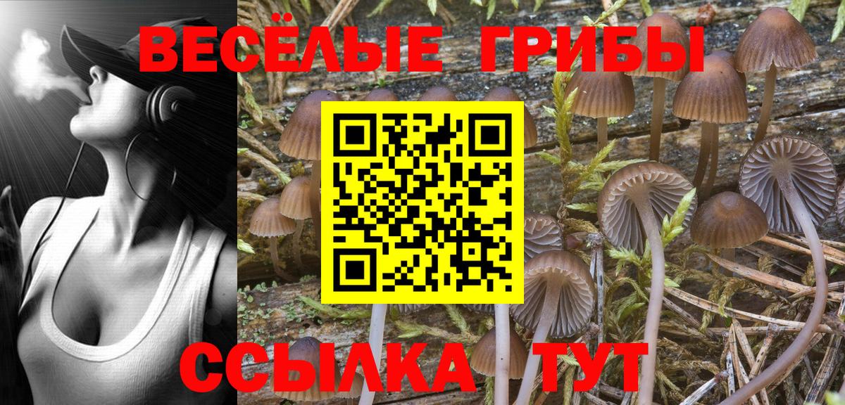 Псилоцибиновые грибы MAGIC MUSHROOMS  Вход с VPN  где продают   Коммунар 