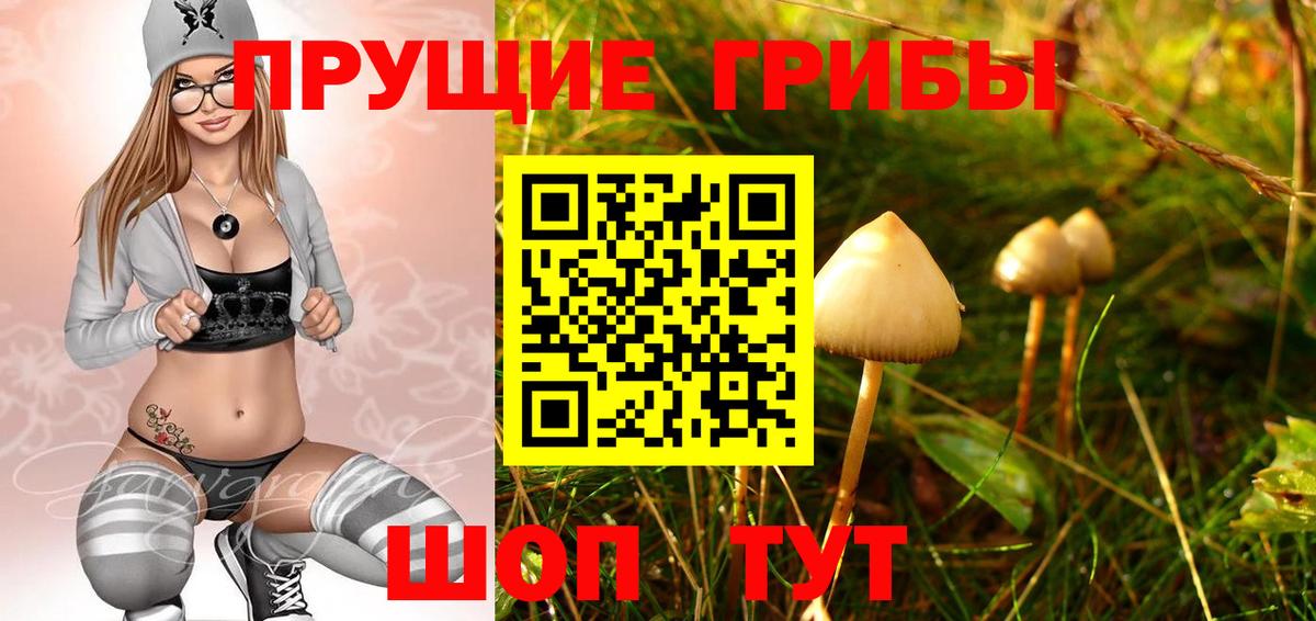Галлюциногенные грибы Psilocybine cubensis Коммунар